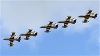 Florencio Martn Melin - Lanzarote Spotters. Click to see full size photo