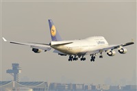 Miguel A. gueda Rguez.  (CANARY ISLANDS SPOTTING). Click to see full size photo