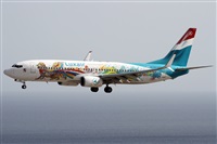 Alfonso Sols - Asociacin Canary Islands Spotting. Click to see full size photo