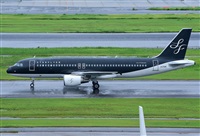 Miguel A. gueda Rguez.  (CANARY ISLANDS SPOTTING). Click to see full size photo