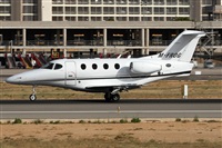 ©Alfonso Solís - Asociación Canary Islands Spotting. Click to see full size photo ©Alfonso Solís - Asociación Canary Islands Spotting. Click to see full size photo