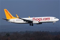 Daniel Schwinn. Click to see full size photo