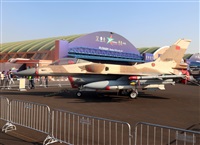 Daniel Ferro. Click to see full size photo