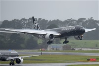 �Miguel A. �gueda Rguez.  (CANARY ISLANDS SPOTTING). Click to see full size photo