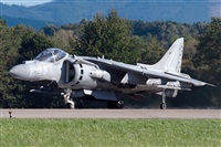 �Tam�s. Click to see full size photo