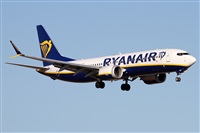 �Alfonso Sol�s - Asociaci�n Canary Islands Spotting. Click to see full size photo