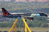�Miguel A. �gueda Rguez.  (CANARY ISLANDS SPOTTING). Click to see full size photo