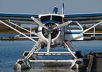 Melvin Pereira - Iberian Spotter. Click to see full size photo