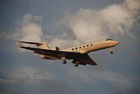 Rubn Gil - Noisy Spotters. Click to see full size photo