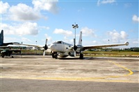 Rui Guerreiro - www.portugalspotters.org. Click to see full size photo