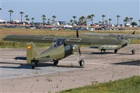 Miguel A. Snchez. Click to see full size photo