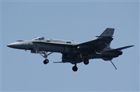 Gerardo A. Prez   Canary Islands Spotting. Click to see full size photo
