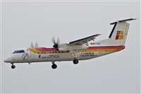 Eugenio y Alfonso. Click to see full size photo