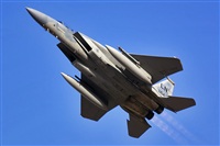 Antonio Zamora - La Mancha Spotters. Click to see full size photo