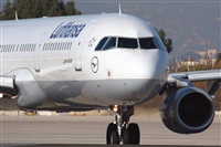 Rodrigo Carvalho - Noisy Spotters. Click to see full size photo