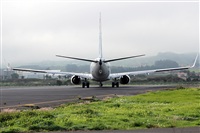 Nacho Rodriguez - Canary Islands Spotting. Click to see full size photo
