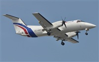 Rubn Gil - Noisy Spotters. Click to see full size photo