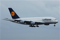 Chalo Canary Islands Spotting. Click to see full size photo