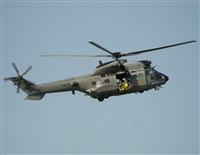 luis esteban rodriguez-YOUNG SPOTTER-spotting andalucia. Click to see full size photo