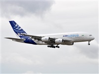 Rubn Gil - Noisy Spotters. Click to see full size photo