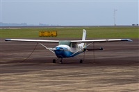 Javier de la Cruz - CANARY ISLANDS SPOTTING. Click to see full size photo