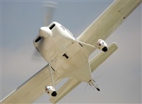 luis esteban rodriguez-YOUNG SPOTTER-spotting andalucia. Click to see full size photo