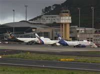 ©Pedro C.S.. Click to see full size photo ©Pedro C.S.. Click to see full size photo