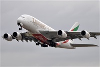 Rubn Gil - Noisy Spotters. Click to see full size photo