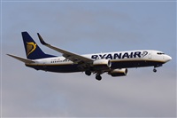 Alfonso Sols - Asociacin Canary Islands Spotting. Click to see full size photo
