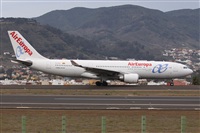 ©Alfonso Solís - Asociación Canary Islands Spotting. Click to see full size photo ©Alfonso Solís - Asociación Canary Islands Spotting. Click to see full size photo