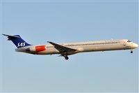 Rubn Gil - Noisy Spotters. Click to see full size photo
