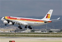 Jos Miguel Bernases - Noisy Spotters. Click to see full size photo