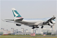 Rodrigo Carvalho - Noisy Spotters. Click to see full size photo