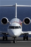 Rui Alves - Madeira Spotters. Click to see full size photo