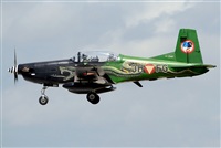 Tams. Click to see full size photo