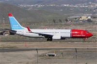 Miguel A. gueda Rguez.  (CANARY ISLANDS SPOTTING). Click to see full size photo