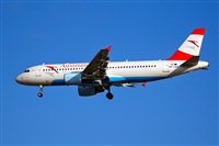 Adolfo Bento - Gran Canaria Spotters. Click to see full size photo