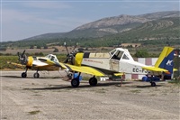 Bartolom Fernndez - Gran Canaria Spotters. Click to see full size photo