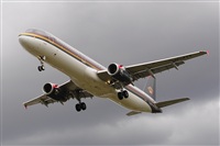 Miguel A. gueda Rguez.  (CANARY ISLANDS SPOTTING). Click to see full size photo