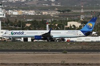 ©Alfonso Solís - Asociación Canary Islands Spotting. Click to see full size photo ©Alfonso Solís - Asociación Canary Islands Spotting. Click to see full size photo