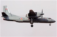 Csar Prieto. Click to see full size photo