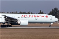 Miguel Alia - Noisy Spotters. Click to see full size photo