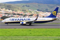 Miguel A. gueda Rguez.  (CANARY ISLANDS SPOTTING). Haz click para ampliar