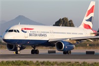 Miguel Alia - Noisy Spotters. Click to see full size photo