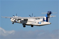 Rodrigo Carvalho - Noisy Spotters. Click to see full size photo