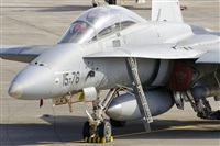 Paco Muoz Arencibia - Gran Canaria Spotters. Click to see full size photo