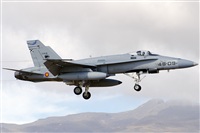 Paco Muoz Arencibia - Gran Canaria Spotters. Click to see full size photo