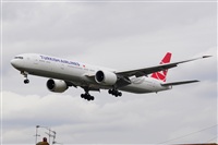 Miguel A. gueda Rguez.  (CANARY ISLANDS SPOTTING). Click to see full size photo