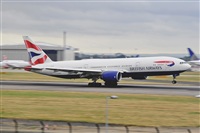 Miguel A. gueda Rguez.  (CANARY ISLANDS SPOTTING). Click to see full size photo