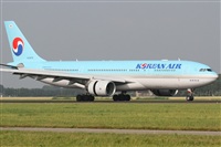 Rubn Gil - Noisy Spotters. Click to see full size photo